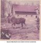 Photo de Maurice MALVACHE et son cheval à la ferme du Steent'je