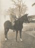 Portrait de Julien Louis Joseph HERMARY en Soldat sur son cheval (en 1932)